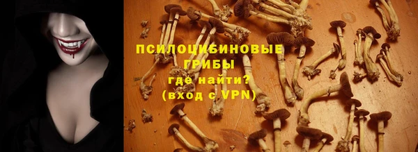 трава Арсеньев