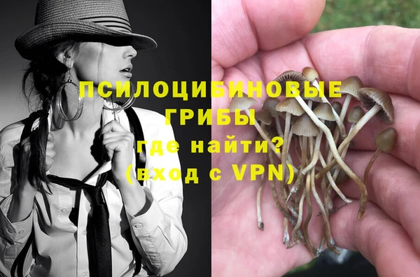Альфа ПВП Армянск