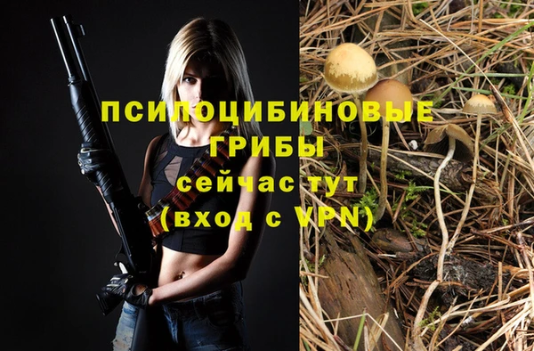 Альфа ПВП Армянск