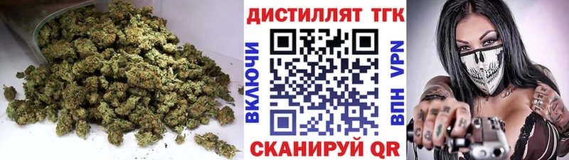 ТГК Wax  Судак 