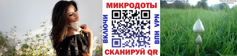 hydra tor  наркошоп  Судак  Галлюциногенные грибы ЛСД 